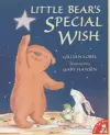 Little Bear's Special Wish cover