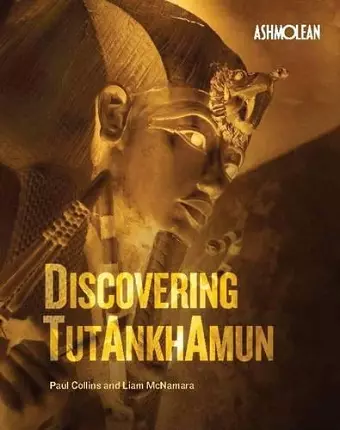 Discovering Tutankhamun cover