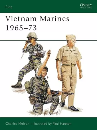 Vietnam Marines 1965–73 cover