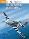 Polish Aces of World War 2 cover