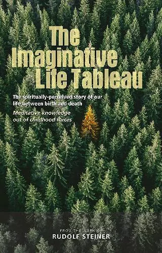 The Imaginative Life Tableau cover