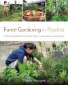 Forest Gardening in Practice: An Illustrated Practical Guide for Homes, Communities and Enterprises cover