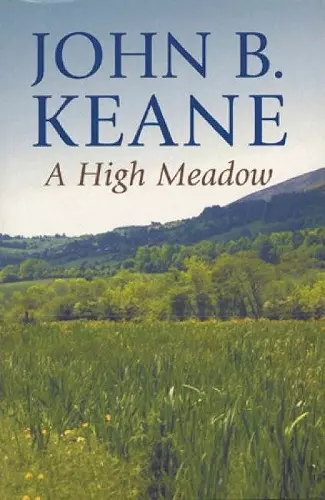 A High Meadow cover