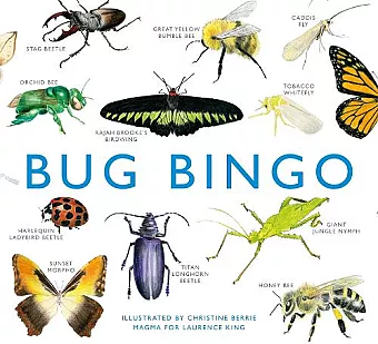 Bug Bingo cover
