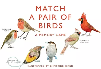 Match a Pair of Birds cover