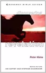 Discovering Revelation cover