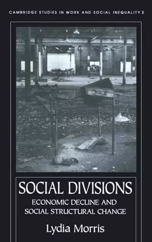 Social Divisions cover