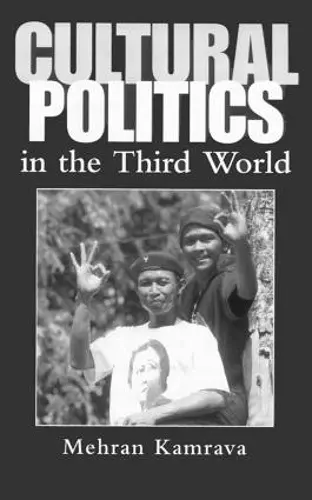 Cultural Politics in the Third World cover