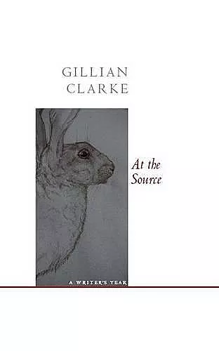 At the Source cover