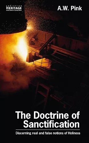 The Doctrine of Sanctification cover