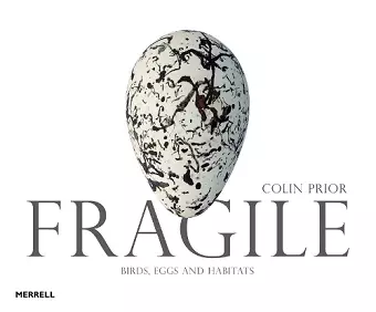 Fragile: Birds, Eggs & Habitats cover