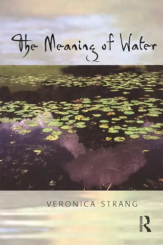 The Meaning of Water cover