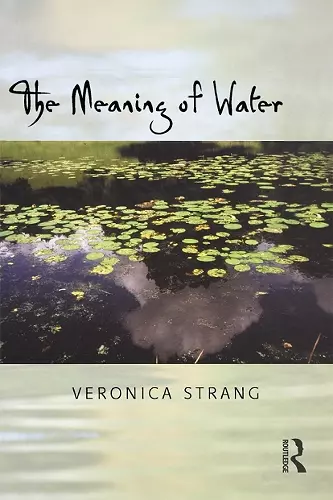 The Meaning of Water cover