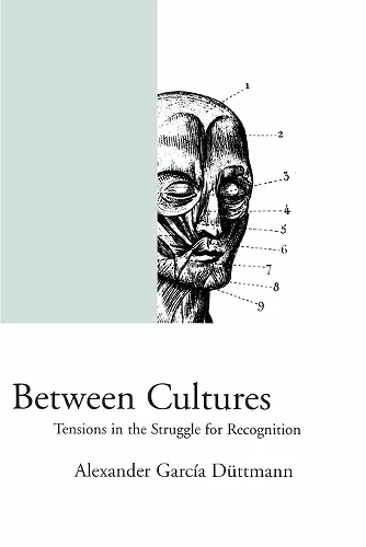 Between Cultures cover