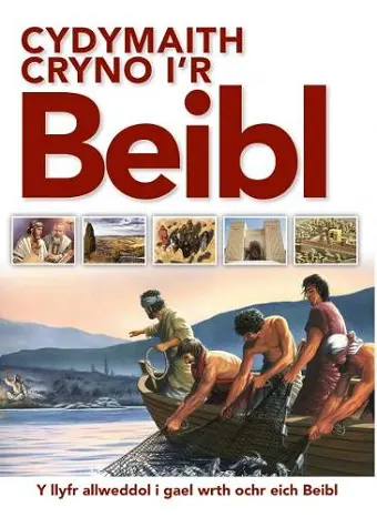 Cydymaith Cryno i'r Beibl cover