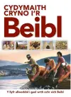 Cydymaith Cryno i'r Beibl cover