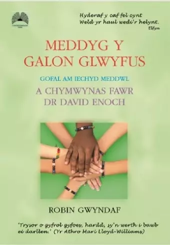 Meddyg y Galon Glwyfus - Gofal am Iechyd Meddwl a Chymwynas Fawr Dr David Enoch cover