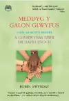 Meddyg y Galon Glwyfus - Gofal am Iechyd Meddwl a Chymwynas Fawr Dr David Enoch cover