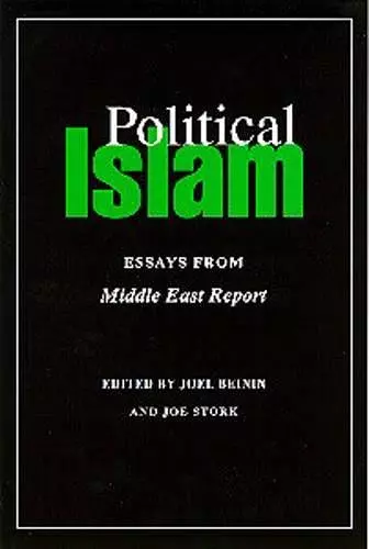 Political Islam cover