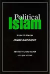 Political Islam cover