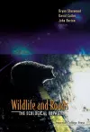 Wildlife And Roads: The Ecological Impact cover