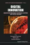 Digital Innovation: Innovation Processes In Virtual Clusters And Digital Regions cover