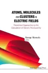 Atoms, Molecules And Clusters In Electric Fields: Theoretical Approaches To The Calculation Of Electric Polarizability cover