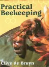 Practical Beekeeping cover