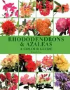 Rhododendrons and Azaleas - A Colour Guide cover