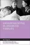 Grandparenting in divorced families cover