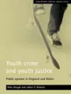 Youth crime and youth justice cover