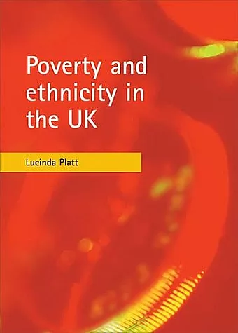 Poverty and ethnicity in the UK cover