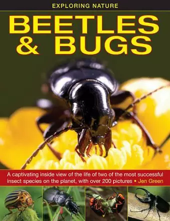 Exploring Nature: Beetles & Bugs cover