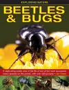 Exploring Nature: Beetles & Bugs cover