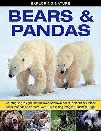 Exploring Nature: Bears & Pandas cover