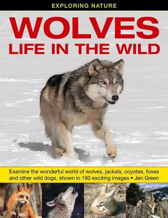 Exploring Nature: Wolves - Life in the Wild cover