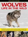 Exploring Nature: Wolves - Life in the Wild cover