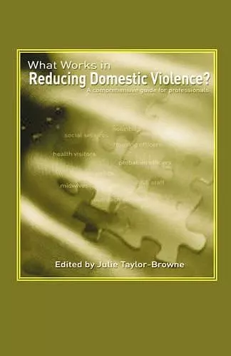 What Works in Reducing Domestic Violence cover