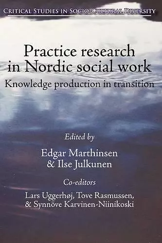 Practice Research in Nordic Social Work cover