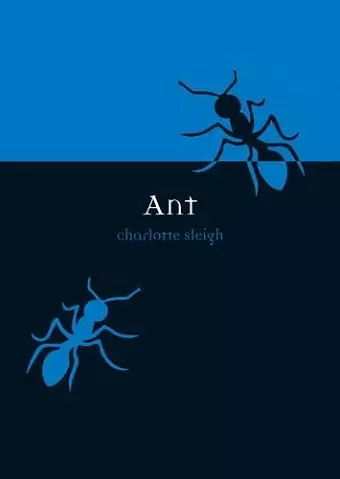 Ant cover