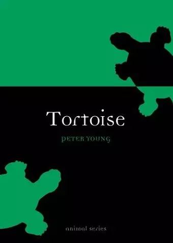 Tortoise cover