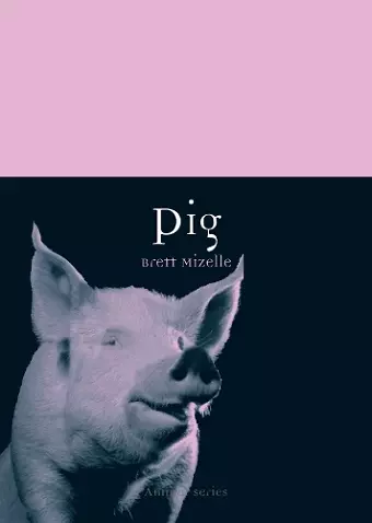 Pig cover