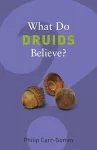 What Do Druids Believe? cover