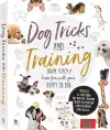 Dog Tricks and Training Box Set cover