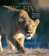 Africa's Big Five cover