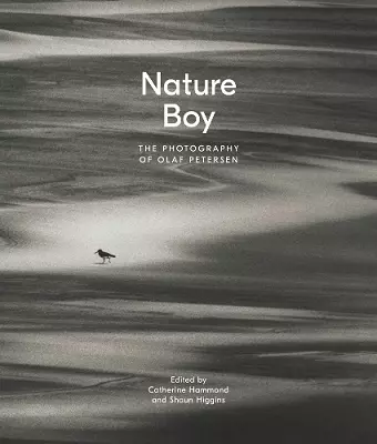 Nature Boy cover