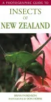 Photographic Guide To Insects Of New Zealand cover