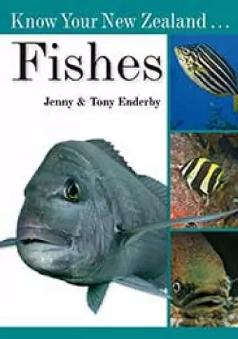 Know Your New Zealand Fishes cover