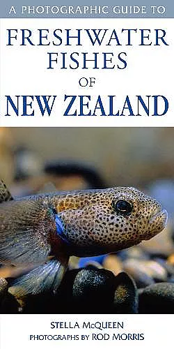 Photographic Guide To Freshwater Fishes Of New Zealand cover