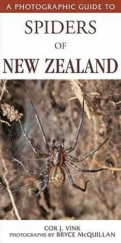 Photographic Guide To Spiders Of New Zealand cover